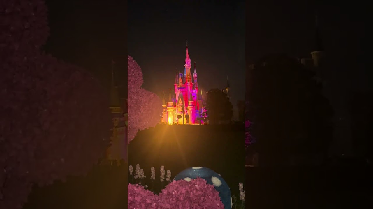 Cinderella castle (reach for the stars)feb.21 2026