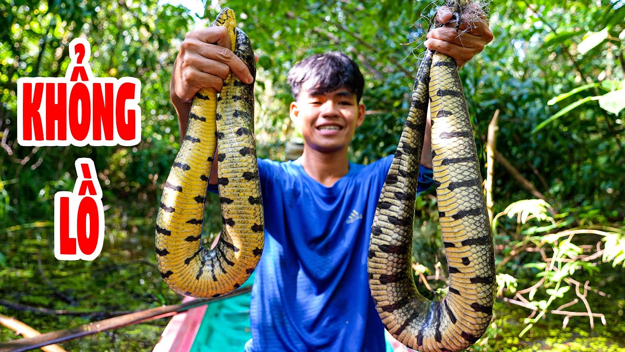 Nghề Kiếm Tiền Triệu Ở Rừng U Minh