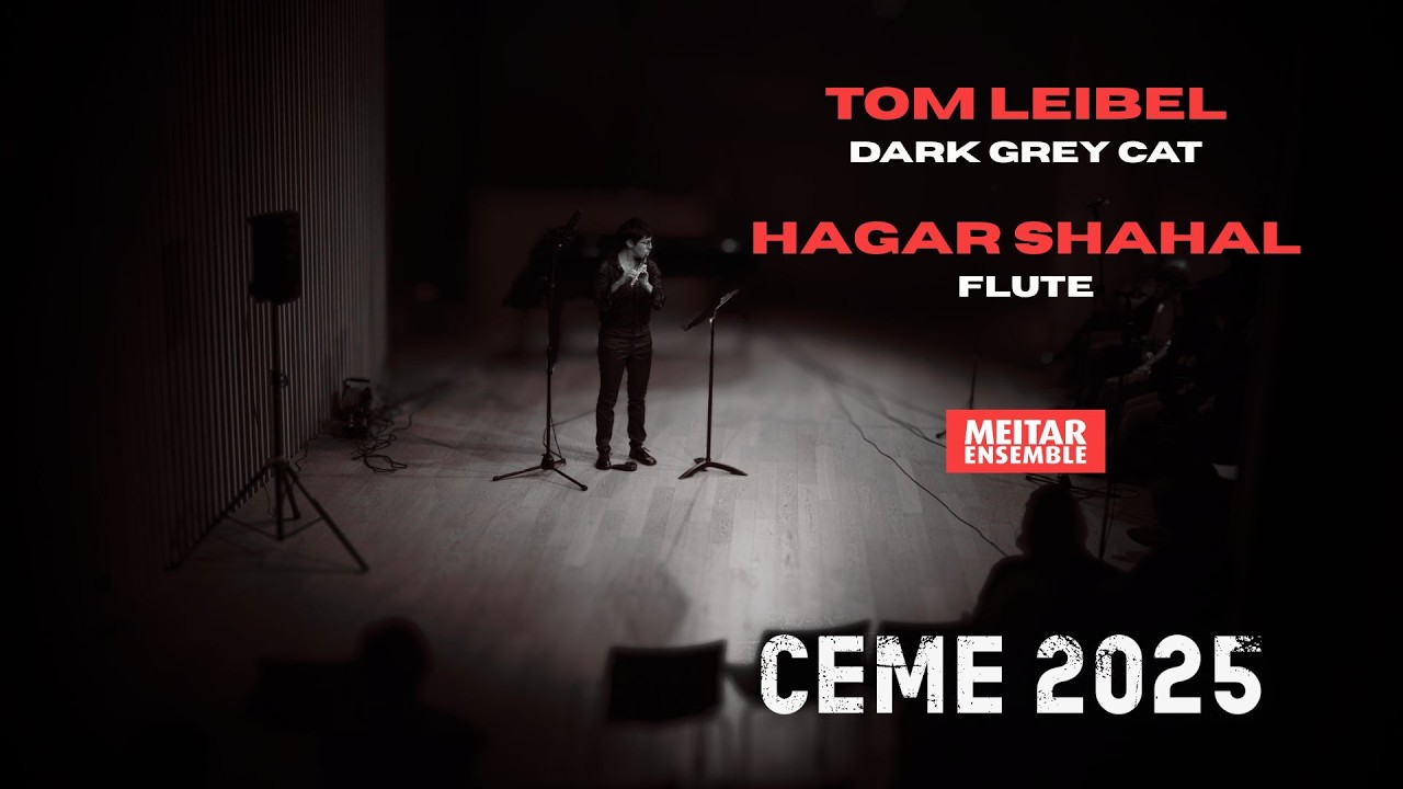Tom Leibel - Dark Grey Cat