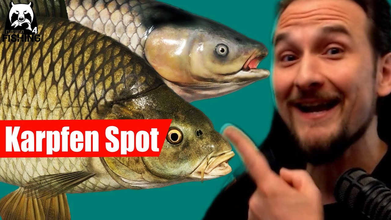 Russian Fishing 4 - Alte Festung - Schuppenkarpfen und Amure