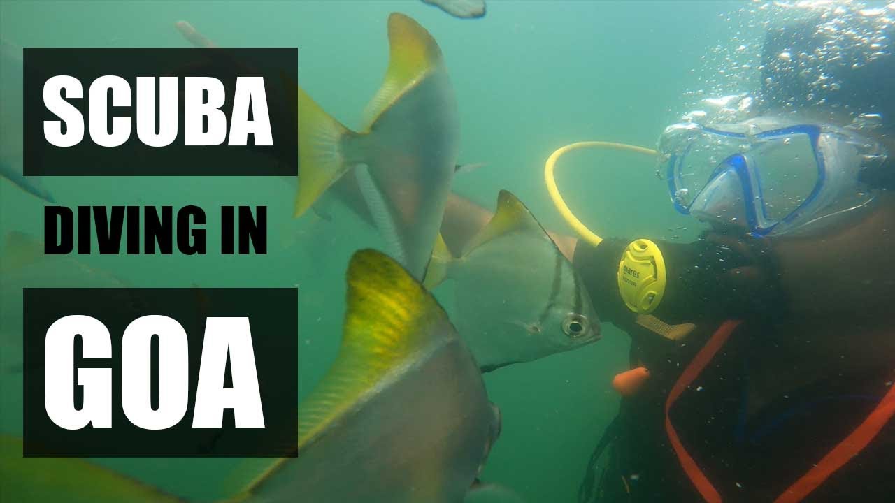 Best Scuba Diving Location in Goa | Complete Details, Things you must know before planning for Scuba