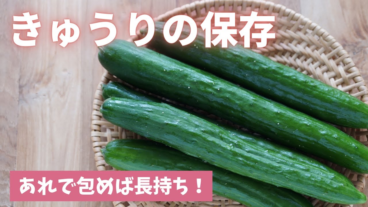 【きゅうりの保存】あれをやるだけで驚くほど長持ちします！（島本美由紀の野菜保存から食品ロス削減）
