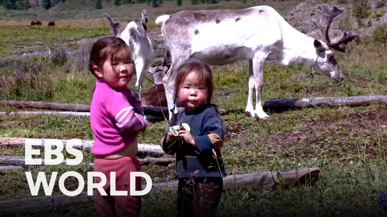 A Transcontinental Train Ride through Mongolia - Part 2. Khovsgol, the Dark Blue Pearl of Mongolia