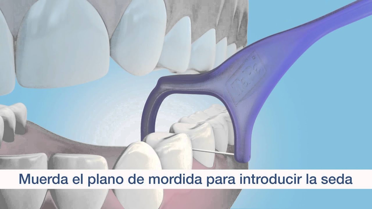 TePe Mini Flosser™ - Pequeño y Práctico
