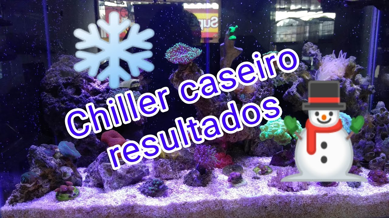 Chiller caseiro resultado final