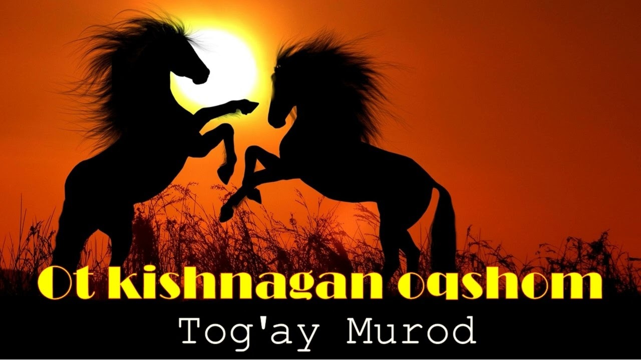 Ot kishnagan oqshom. Tog'ay Murod. Qissa