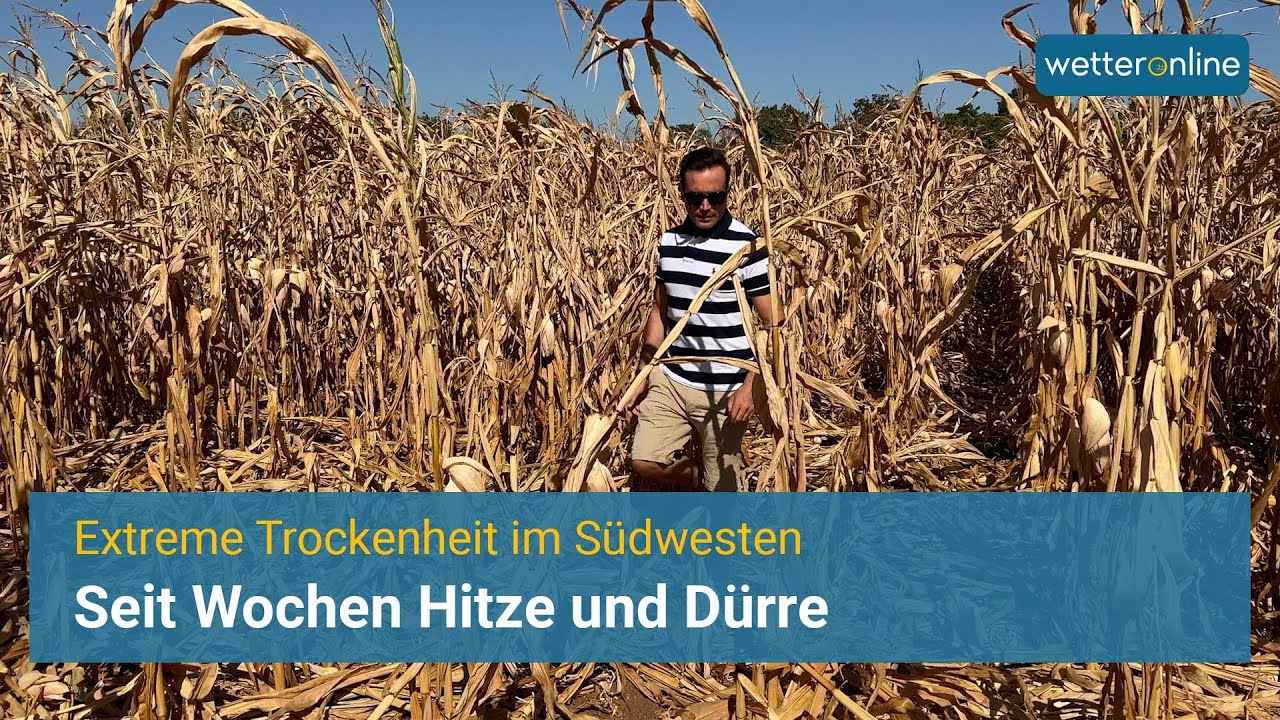 Seit Wochen Hitze und D&uuml;rre - Extreme Trockenheit im S&uuml;dwesten