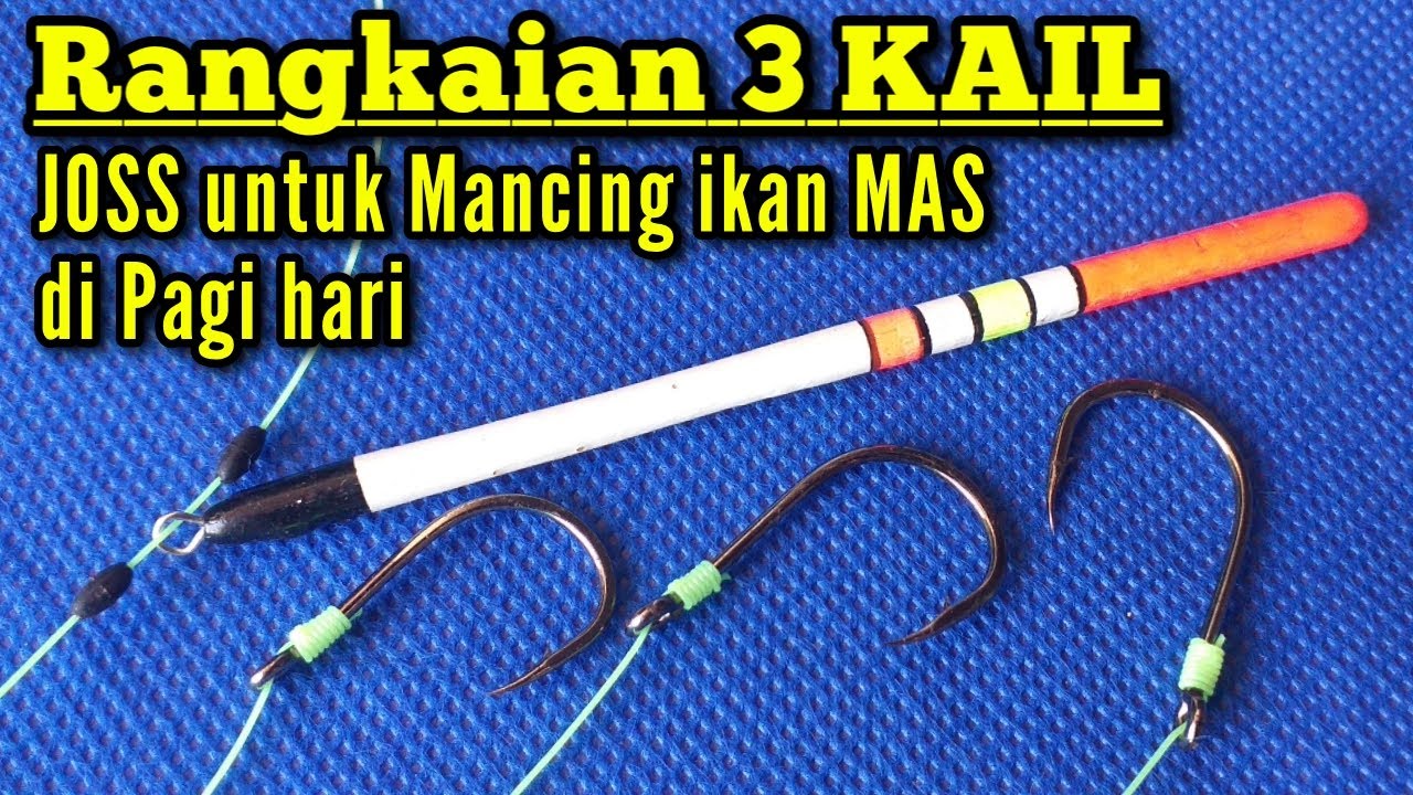 Rangkaian Pancing 3 Kail untuk Mancing Ikan Mas/Tombro diPagi Hari