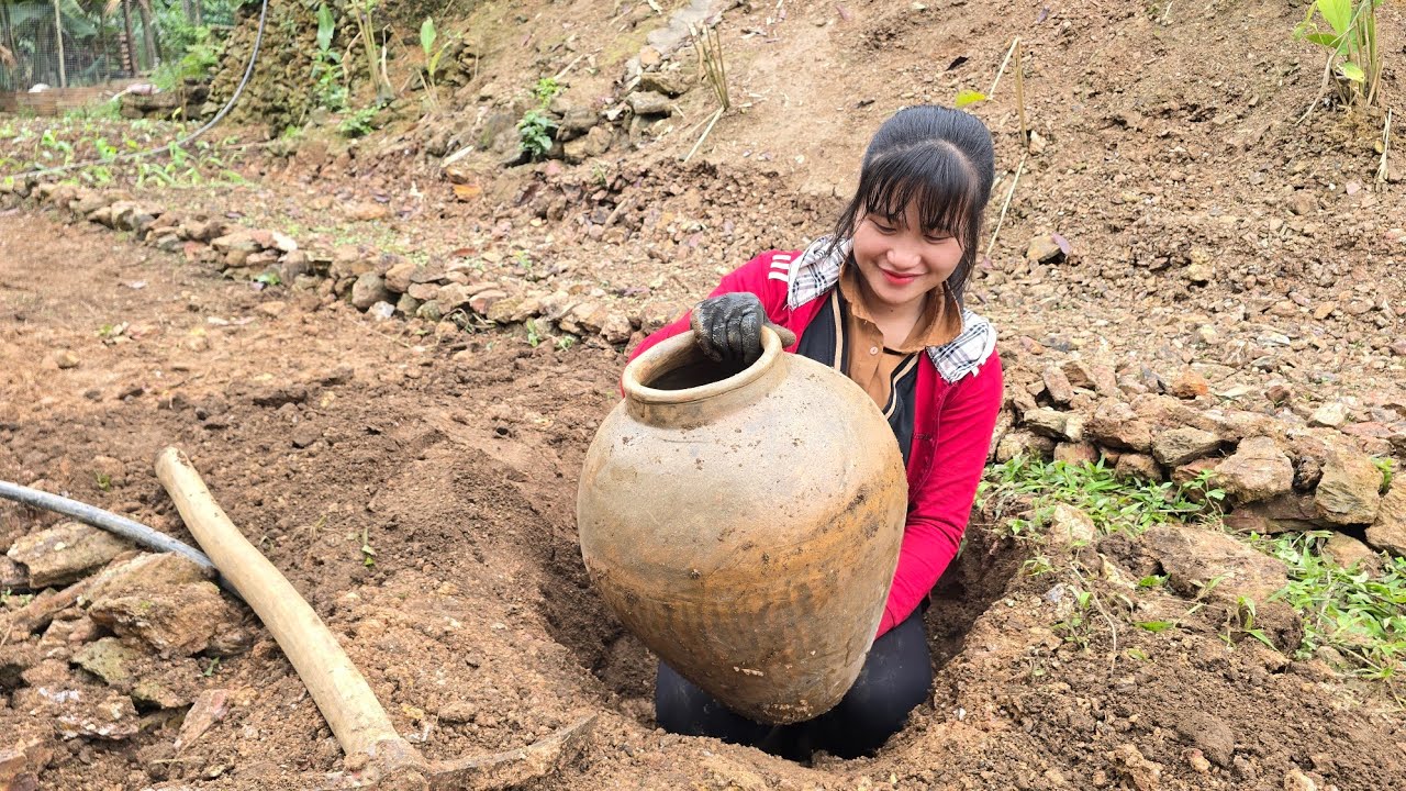 Discover mysterious treasures in the garden | Tiểu Liễu-17 year old