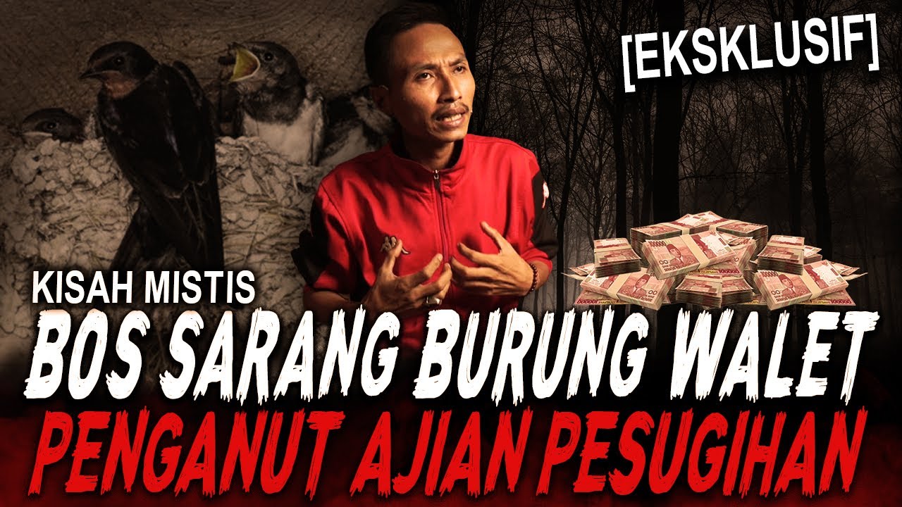 SEKALI JUAL SARANG WALET 500JT DITANGAN PAKE AJIAN INI MANG !! RITUAL PESUGIHAN BOS BURUNG WALET