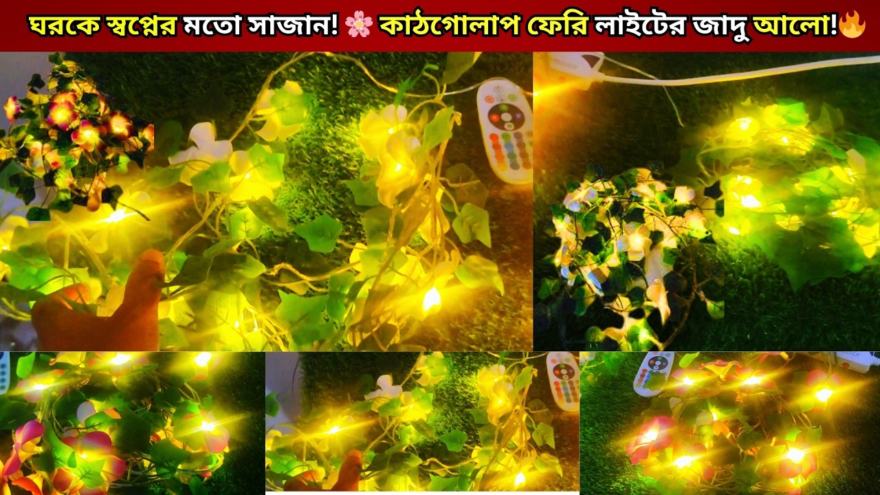 কাঠগোলাপের Fairy light price in bd 2026/ফেরি লাইটের দাম জানুন  | Fairy light price in bangladesh