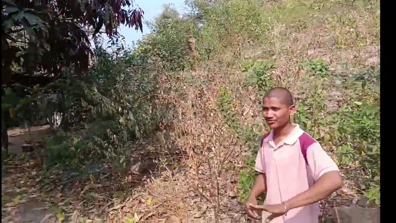 Jangal spari , bahut maja aaya 😮#lekemerikalikalicardarling ,#funny #_viral 