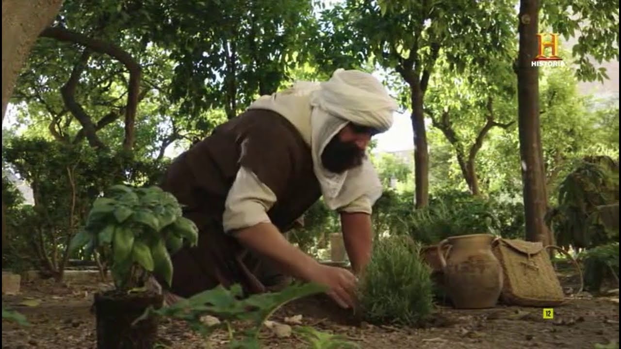 Agronom&iacute;a - Al Andalus: el legado (3)