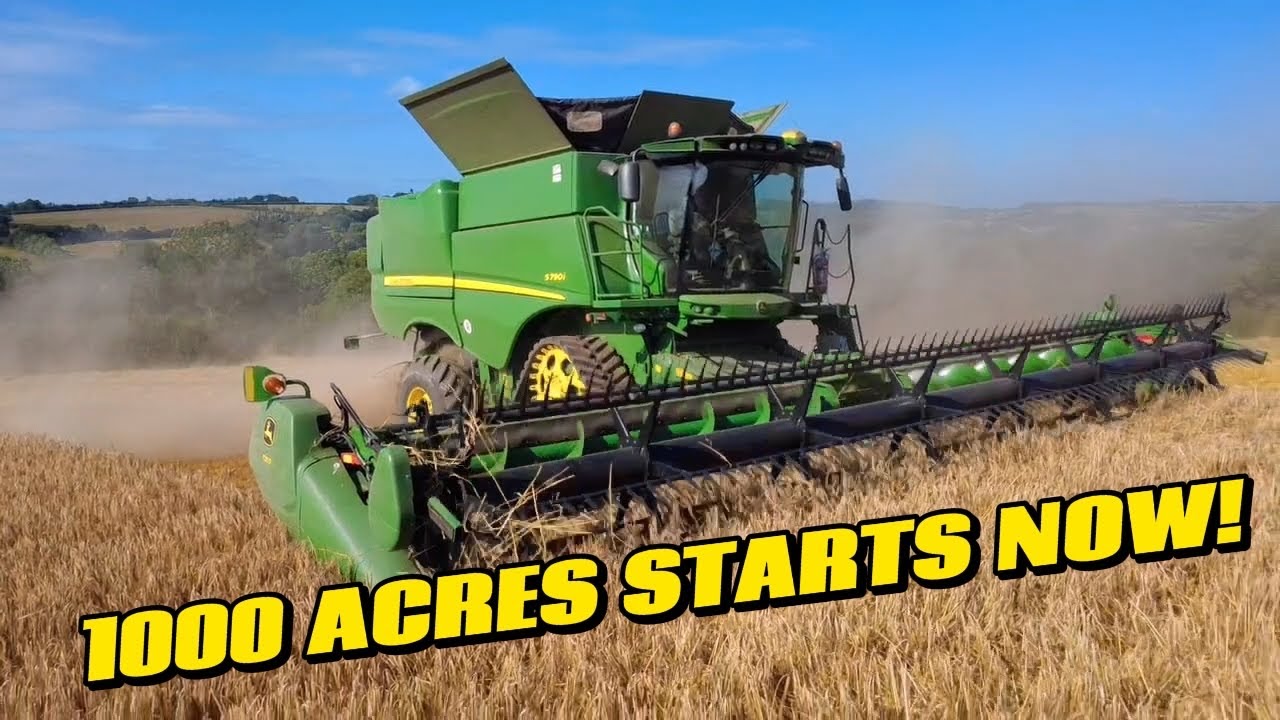 CROP CHECK ✅ THE COMBINE IS OUT FOR AS LONG AS ITS DRY! 