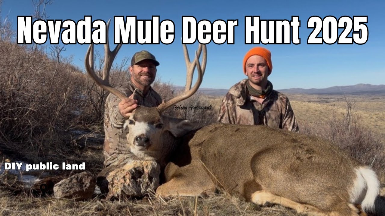Nevada Mule Deer Hunt 2025