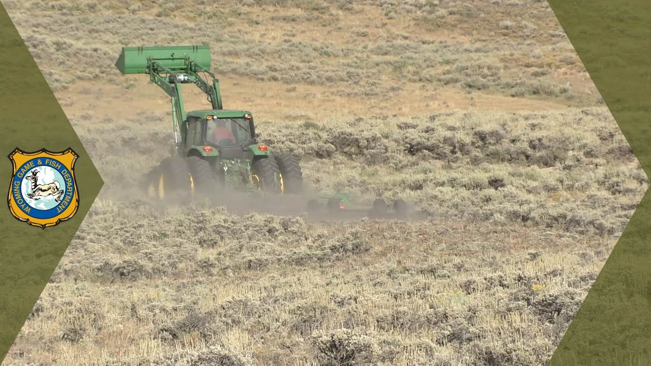 Sagebrush Treatments