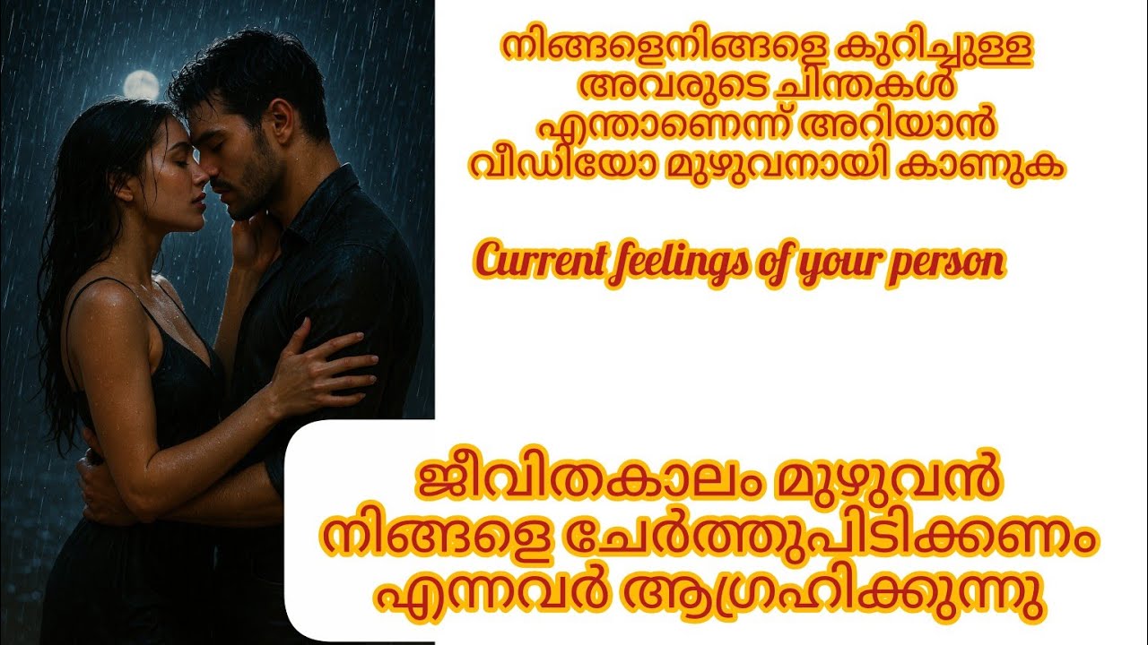 നിങ്ങളെ എന്നും ചേർത്ത് പിടിക്കാൻ തന്നെയാണ്  ആഗ്രഹിക്കുന്നത്... Current feelings of your person ♥️❤️