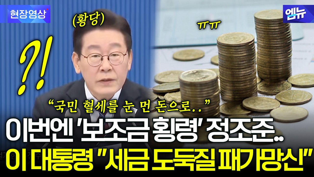 이번엔 '보조금 횡령' 정조준.. 이 대통령 