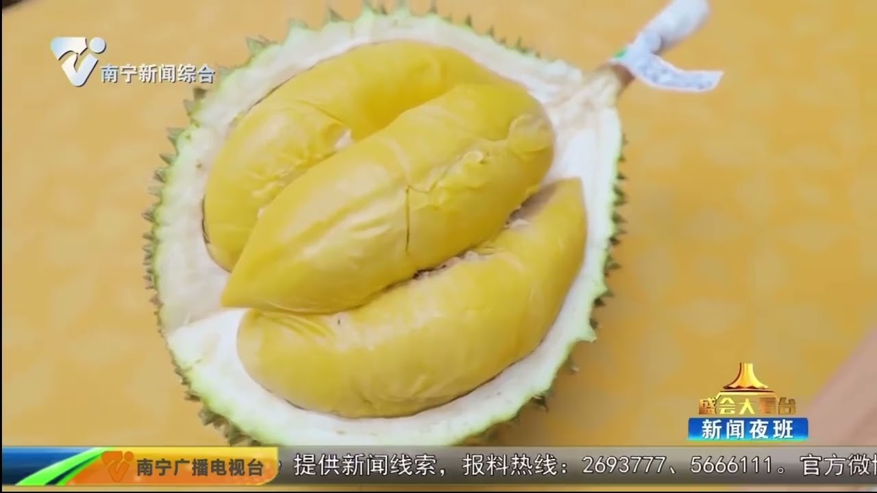 “马来西亚黑刺榴莲产地证书” (Malaysia Black Thorn Durian Certificate)