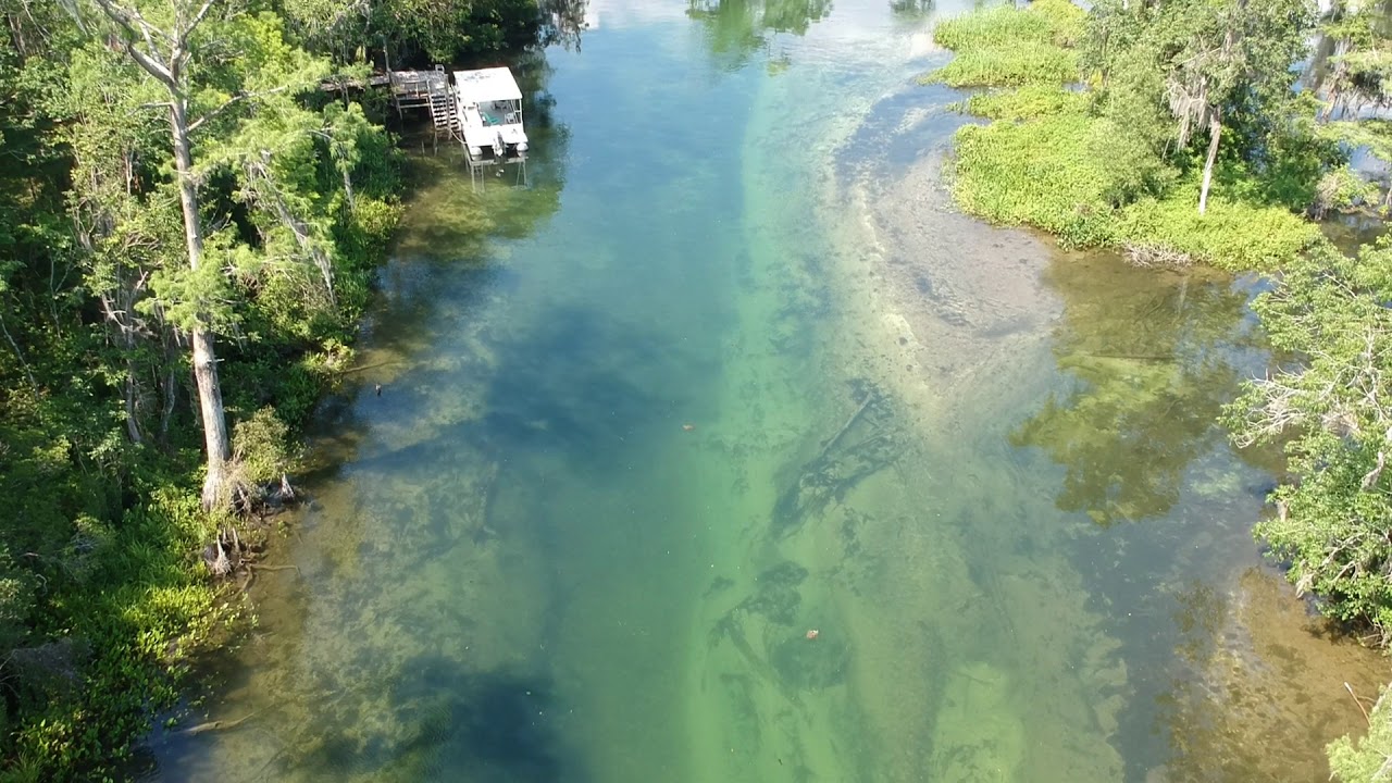 Wakulla River Drone Video