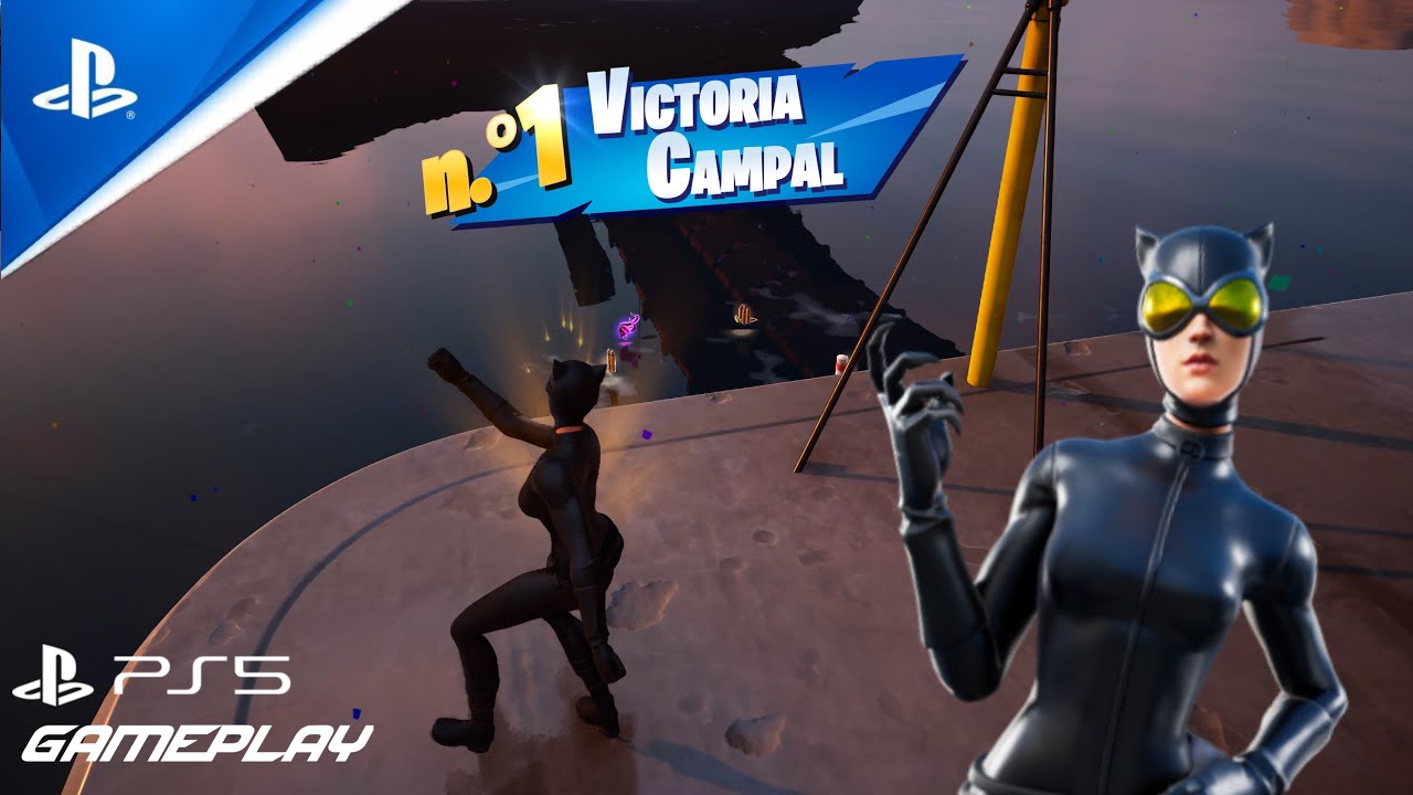 Fortnite Gameplay WIN/Catwoman