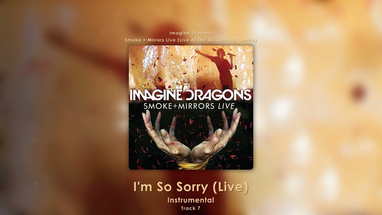 I'm So Sorry (Live) (Instrumental) - Imagine Dragons
