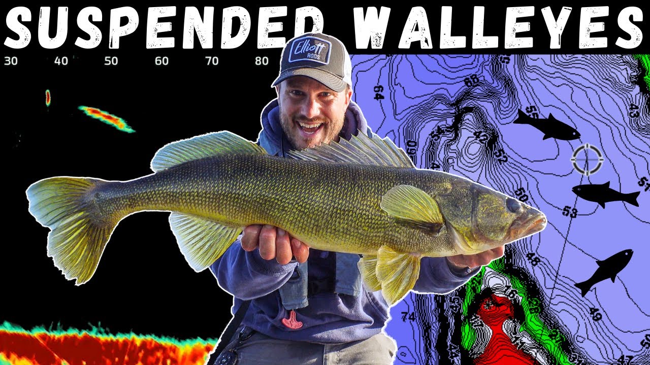 How to Find & Catch Suspended Fall Walleyes