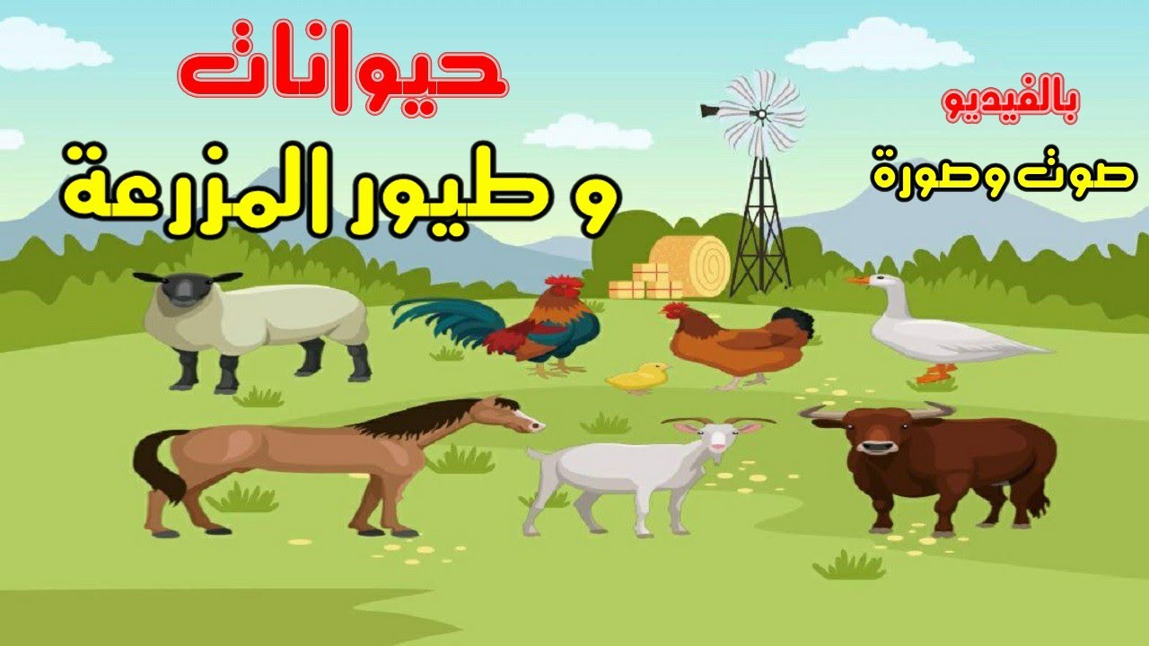 أصوات و أسماء حيوانات المزرعة | اصوات الحيوانات لـ أطفال الروضة والمدرسة farm animals