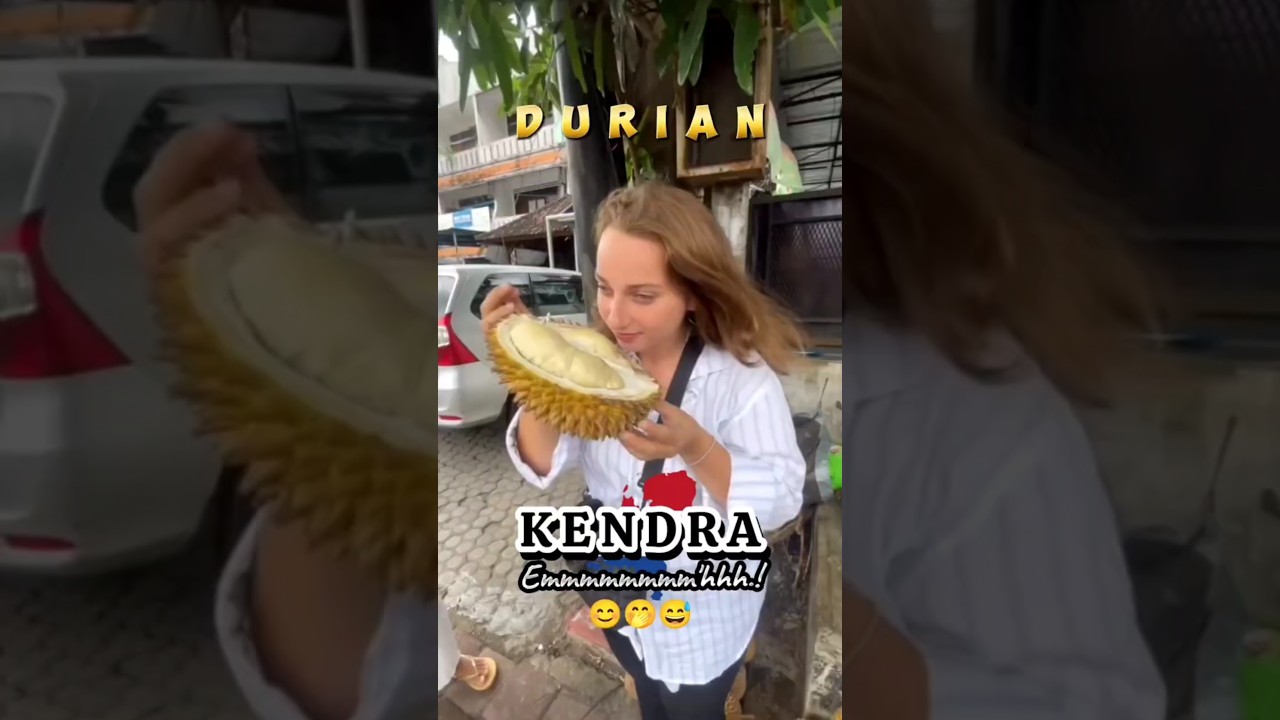 Kendra Bule Belanda 🇳🇱 