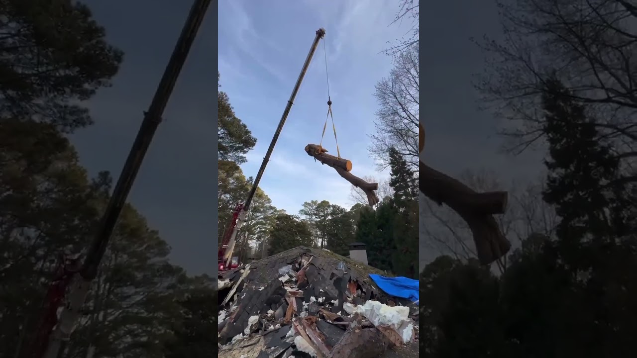 Emergency Tree Removal | Quick Response to Storm Damage #treeremoval #craneservices #stormdamage