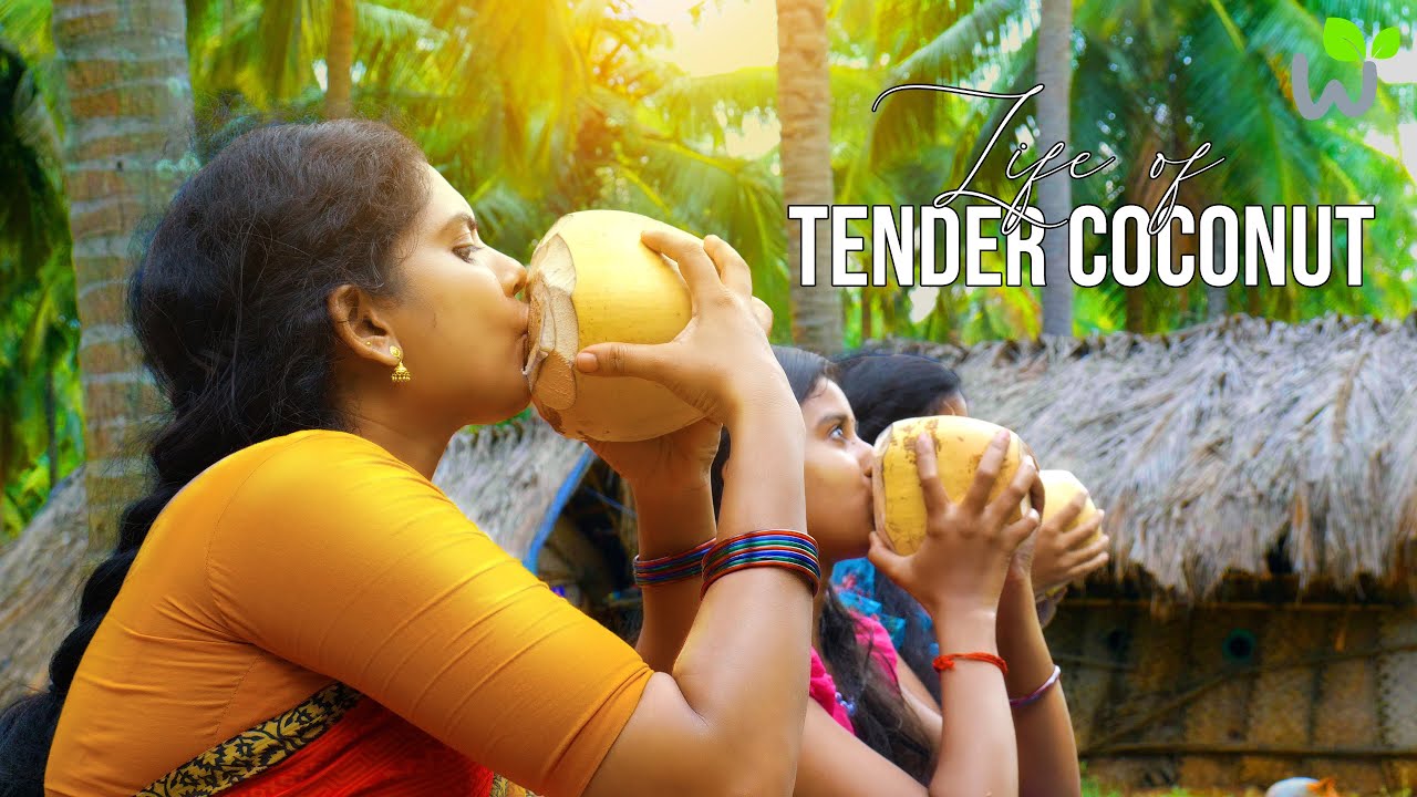 LIFE OF TENDER COCONUT | Tender Coconut Recipes | ഇളനീർ പായസം | Kerala Traditional Lifestyle.