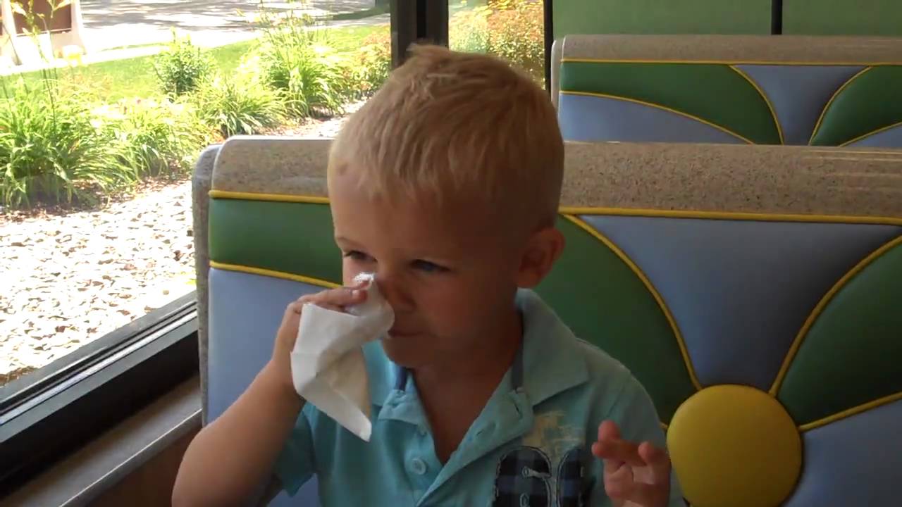 McDonalds after the Como Zoo