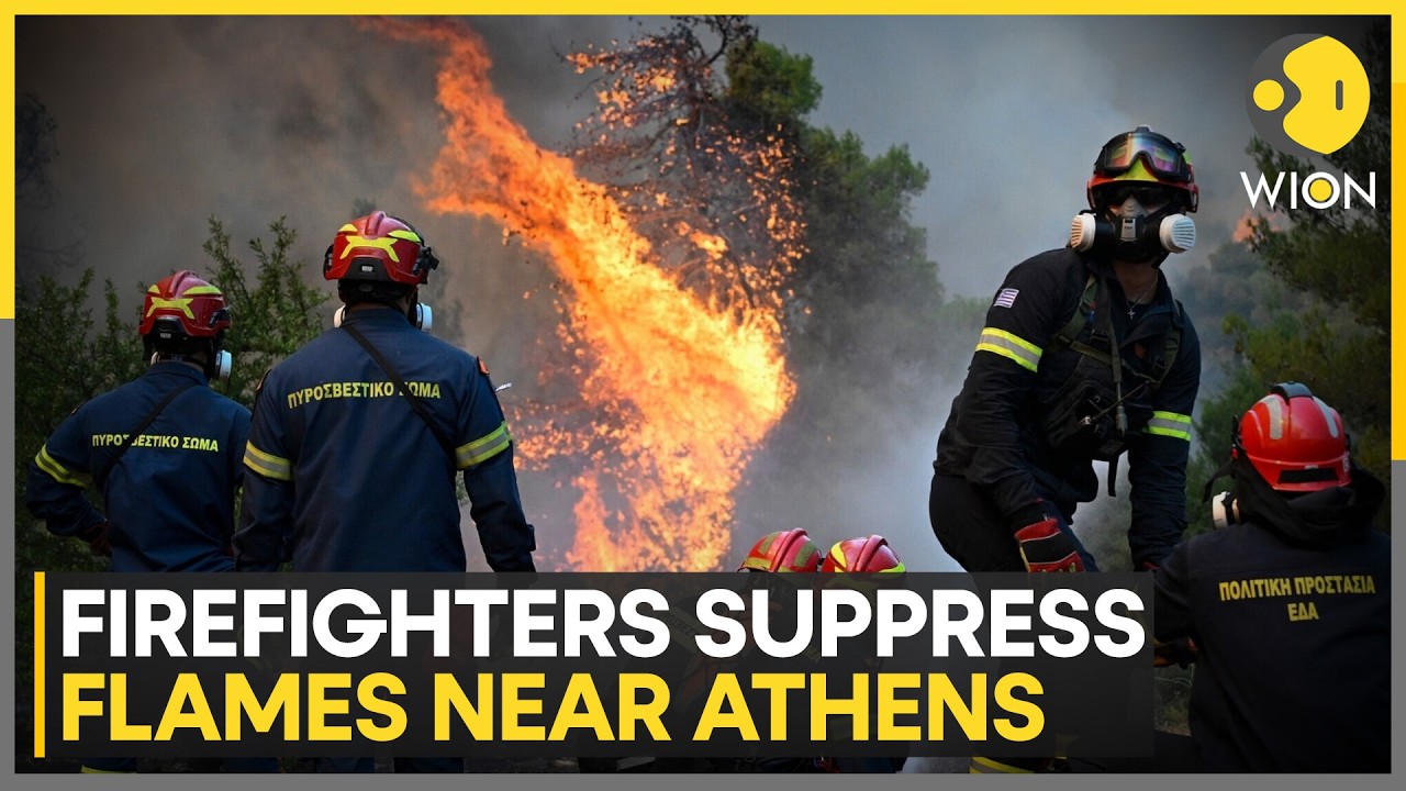 Europe Wildfires: Greek Firefighters Suppress Fire Near Athens | WION