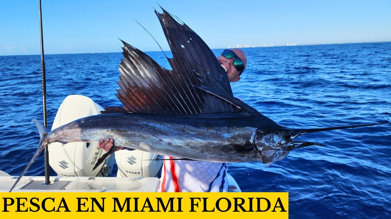 PESCA EN MIAMI GRANDES CAPTURAS !