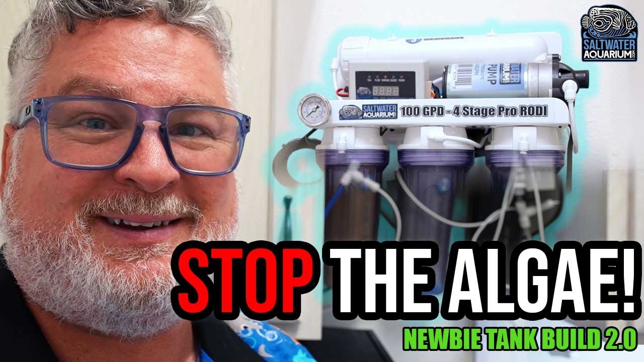 How to Stop Algae Blooms: RODI Filter Maintenance & Mixing Station Setup | Newbie Tank Build 2.0