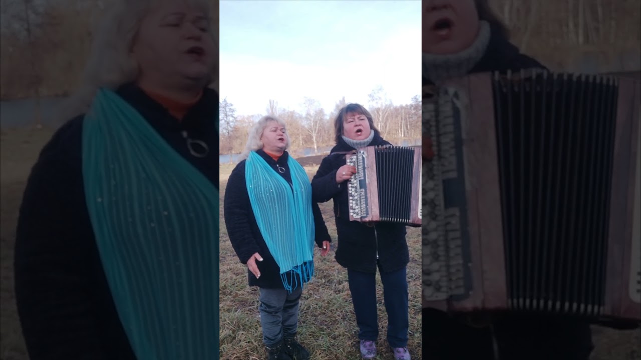 Не лети, журавлику, не лети.