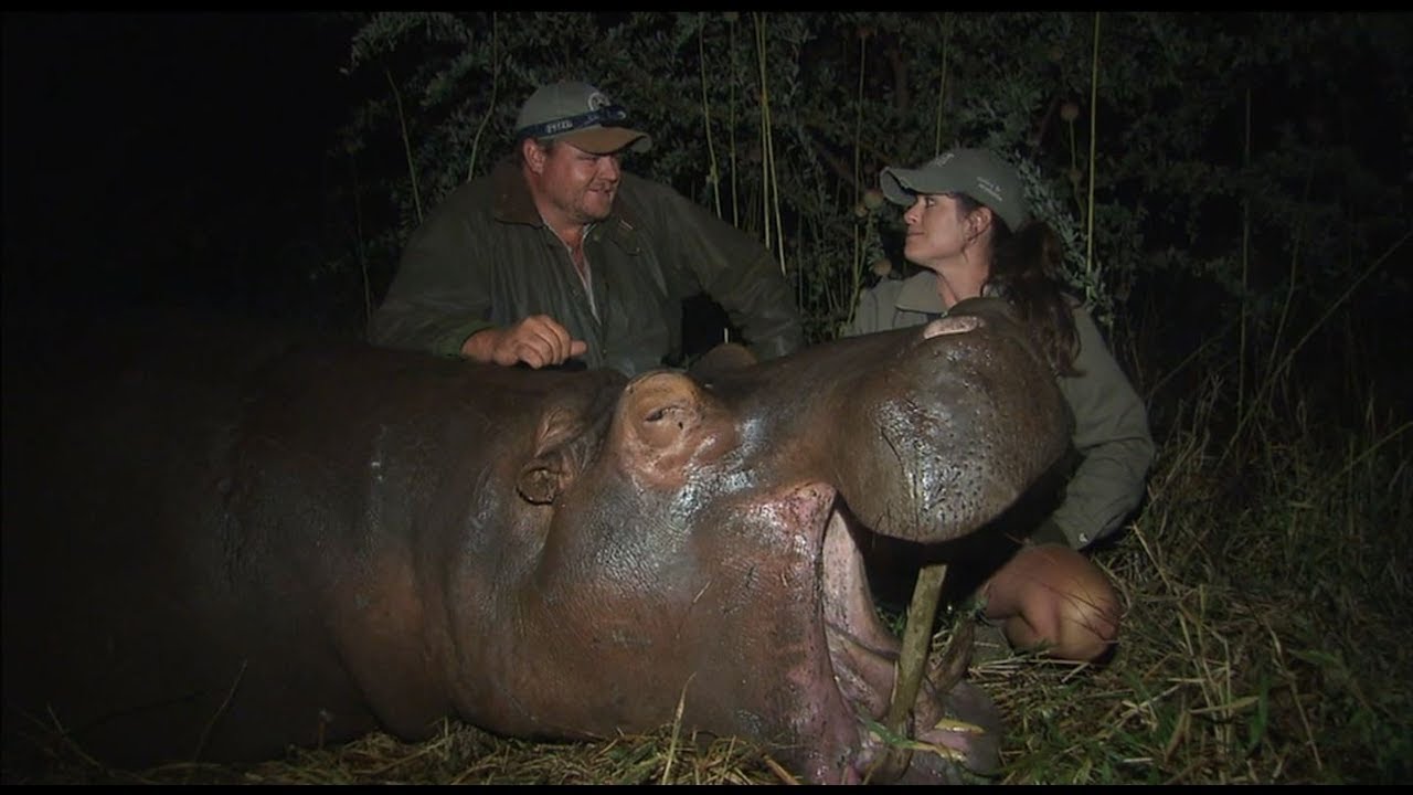 Winchester Legends S4E9 African Killer Hippo and Crocodile