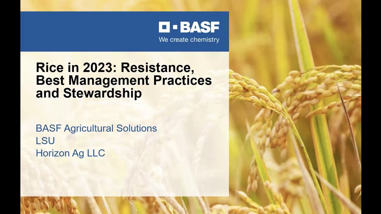 Rice in 2023 – Resistance, Best Management Practices and Stewardship (LSU)