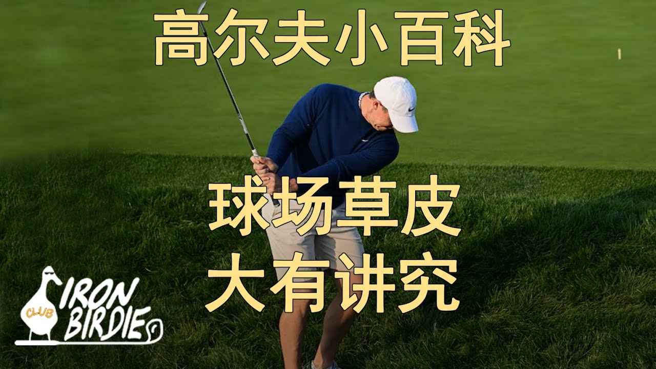 高尔夫球场里，草的门道有多深？