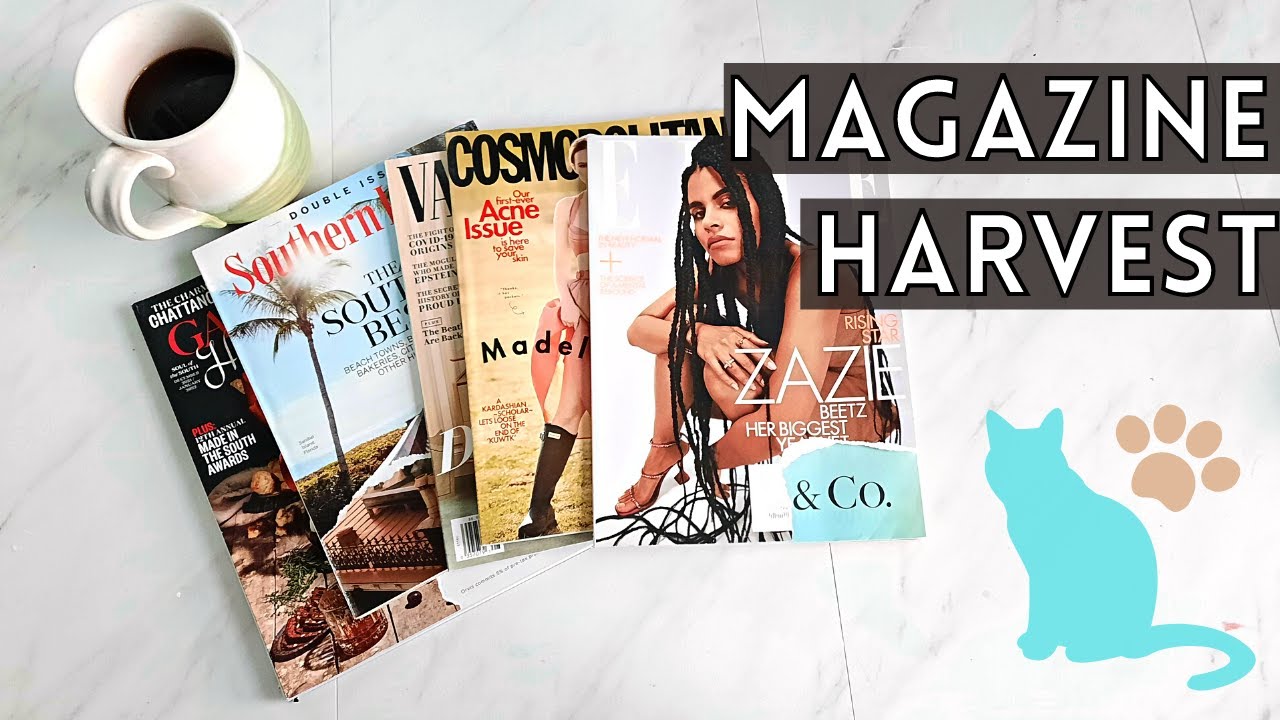 A Good Ol' Magazine Harvest and Chat to Get Inspired to Do More Collage Pages in My Journals