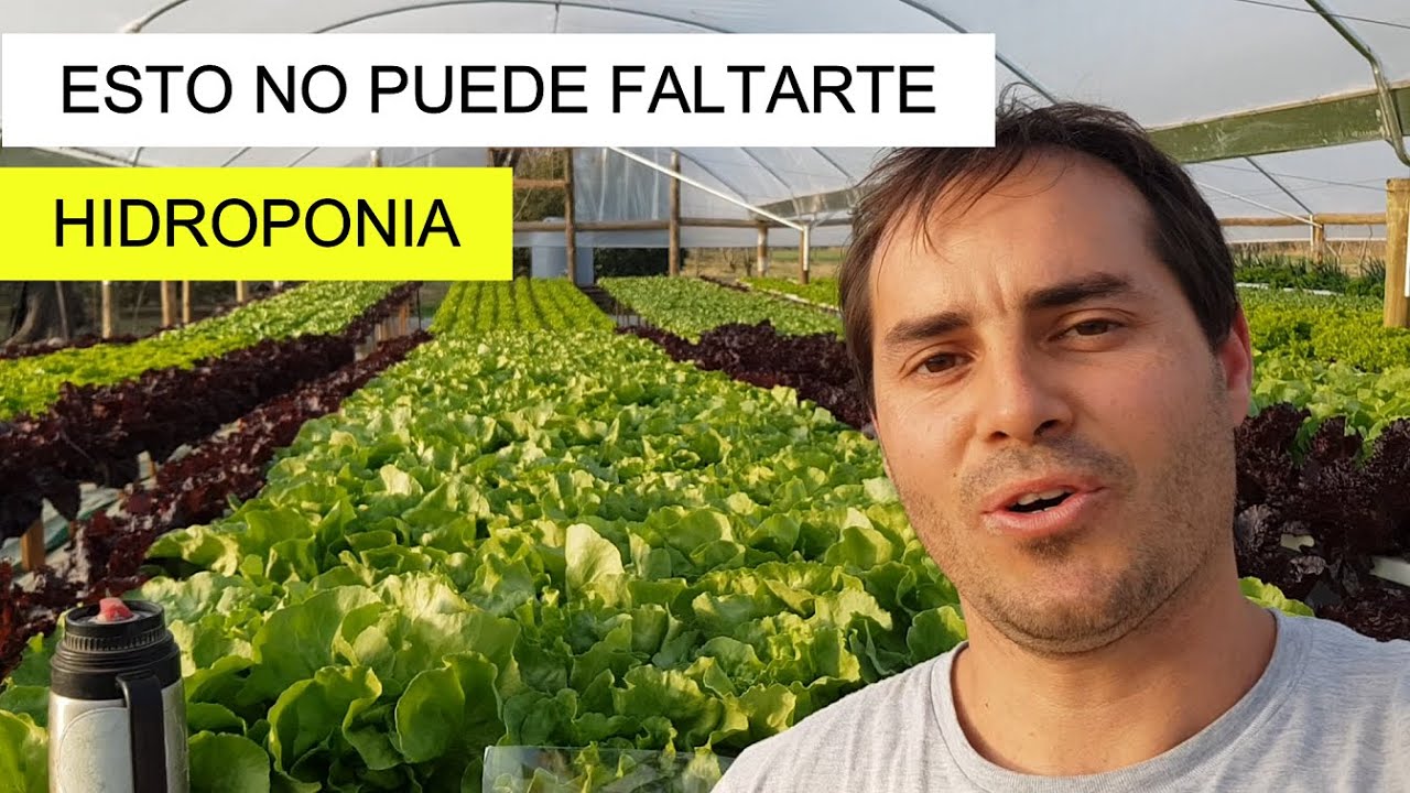 PLANILLAS DE TRABAJO - HIDROPONIA