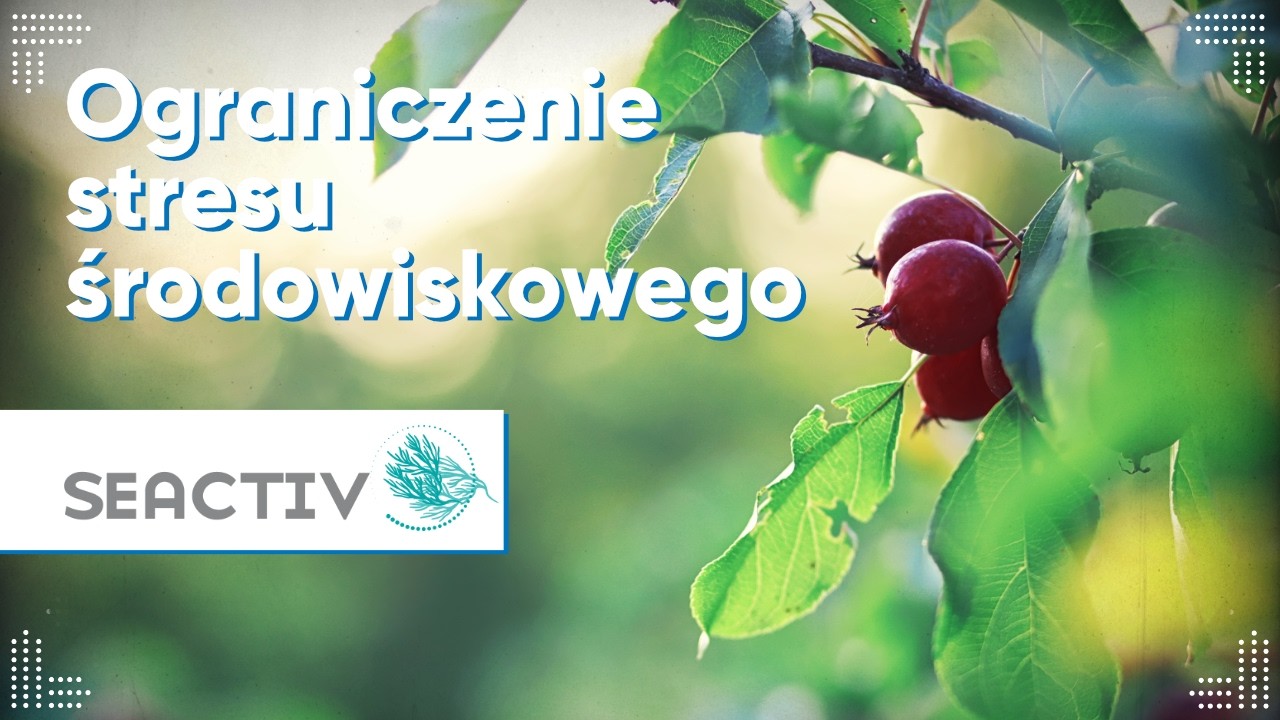 SEACTIV - Ogranicz Stres Środowiskowy i Zwiększ Wydajność Twojej Plantacji | DNA Performance