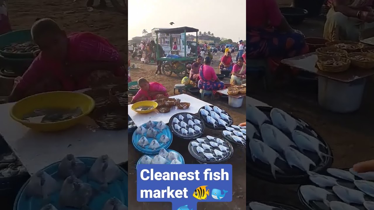 #fish #konkan  Cleanest fish market || All types of fish🐠🐋🐟