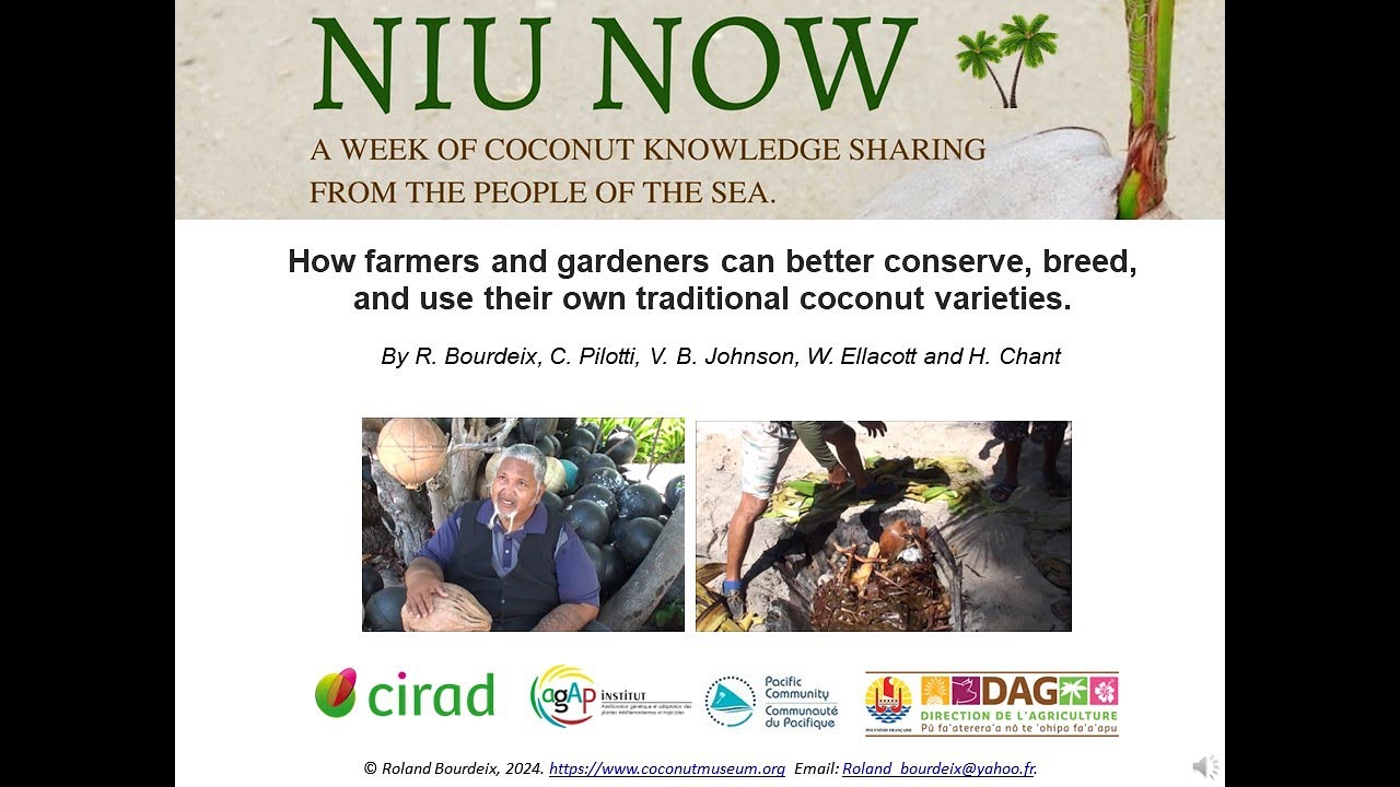 How farmers and gardeners can better conserve, breed, and use their traditional coconut varieties