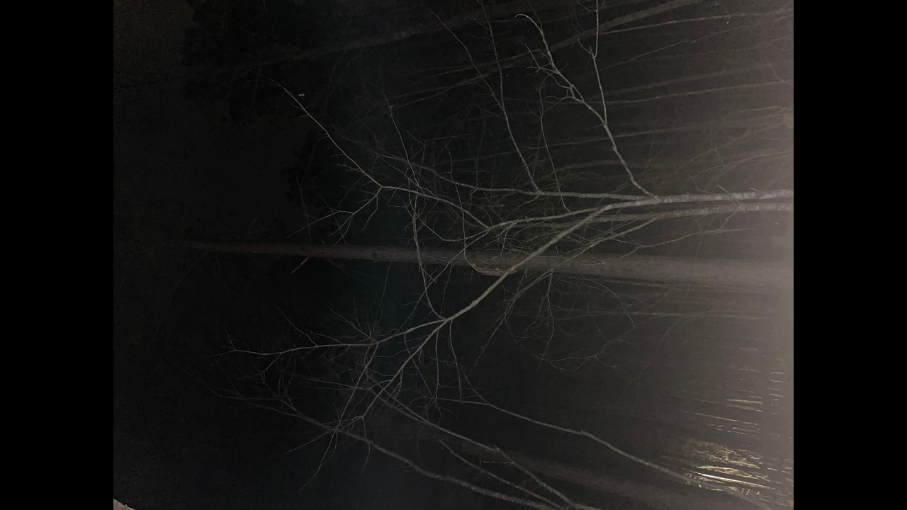 Daily Lenten Penance: Day 4 of Lent