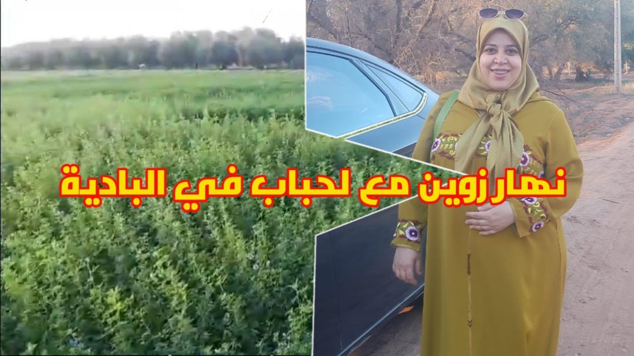 نزهة فالبادية زراعة النعناع والشيبة وعطر الطبيعة