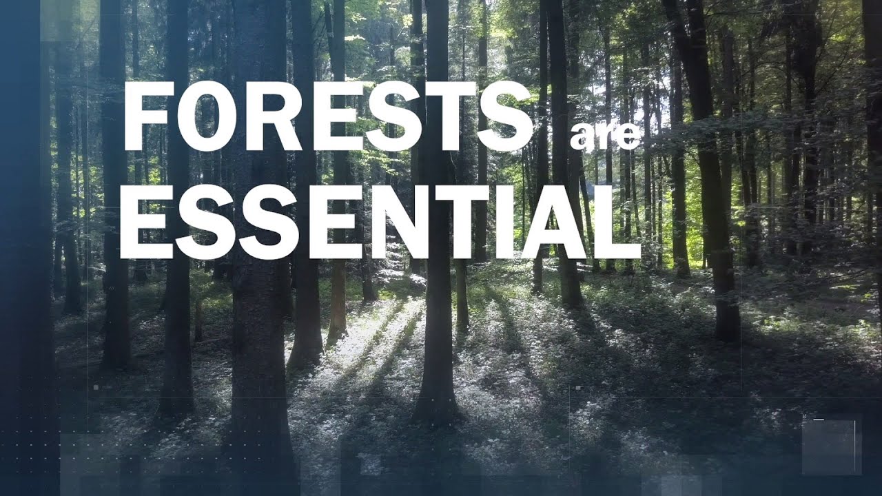 Forests: Using Earth observation satellites to tackle #climate change