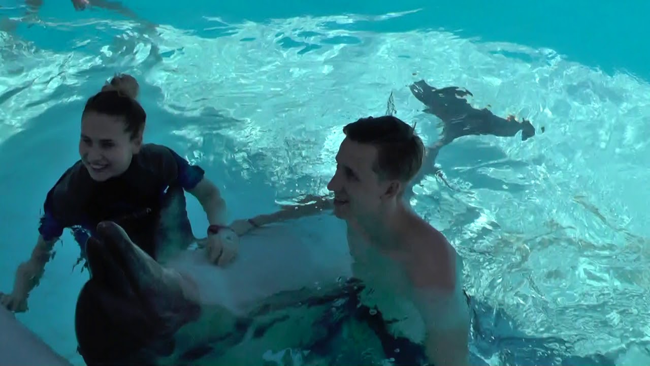 Dolphinarium Sharm el Sheikh Egypt 2k19