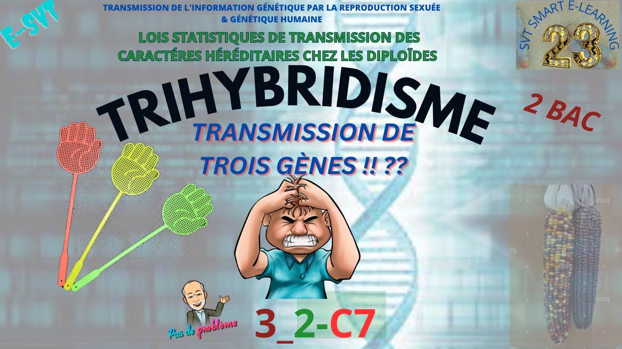 TRIHYBRIDISME / Comment le résoudre ??