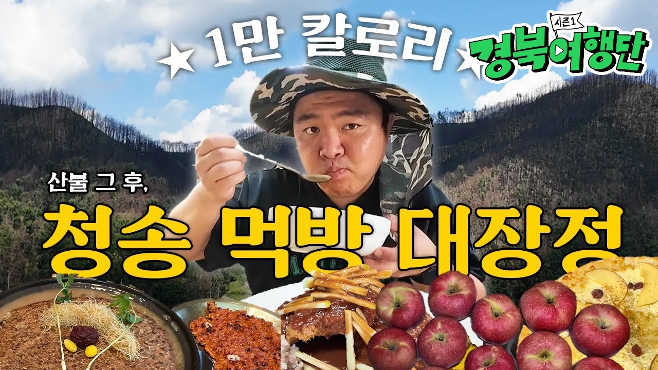 [경북여행단] 오직 '청송'에서만 가능! 청송 ˗ˋˏ1만 칼로리ˎˊ˗ 먹방 대장정 찍고 왔습니다!